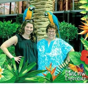 Meet your Posher, Dottie